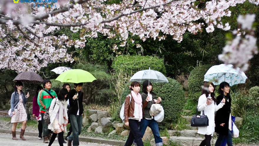 Vietnamese visitor number to Japan sees sharp increase