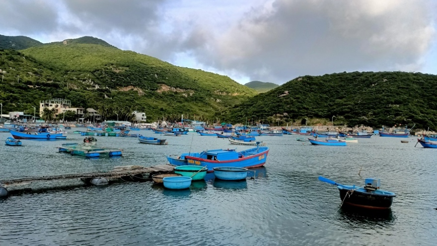 Ninh Thuận tạm dừng hoạt động bến tàu du lịch Vĩnh Hy Discovery