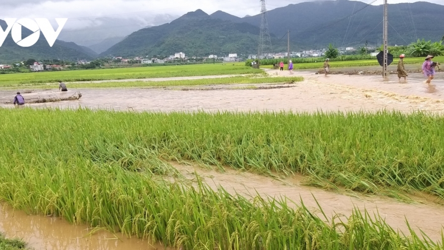 8 người chết và mất tích do mưa lũ ở Bắc bộ và miền Trung