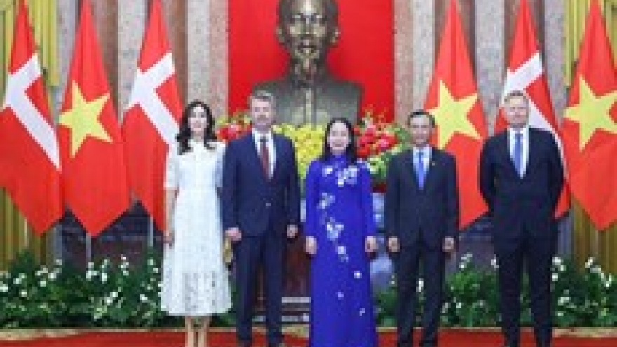 Vietnam-Denmark comprehensive partnership substantive, effective: diplomat