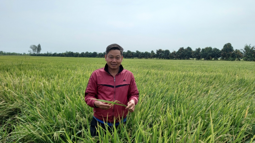 Nông sản được giá, doanh nghiệp phân bón nỗ lực đảm bảo nguồn cung chất lượng