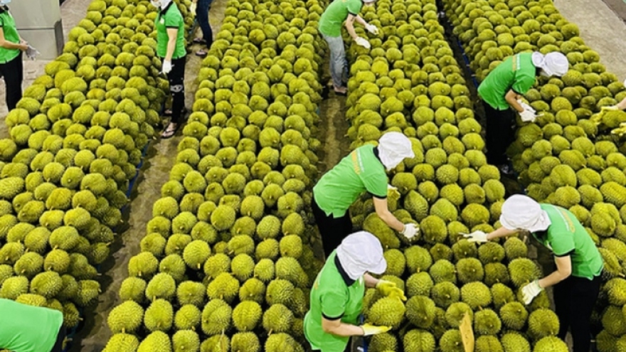 Fruit and vegetable exports exceed US$4 billion in nine months