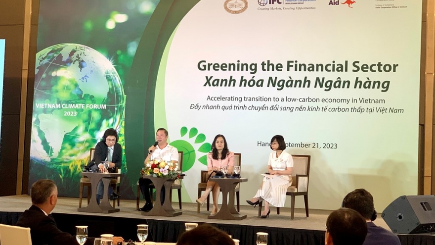 Ample room ahead for Vietnamese climate investment: IFC