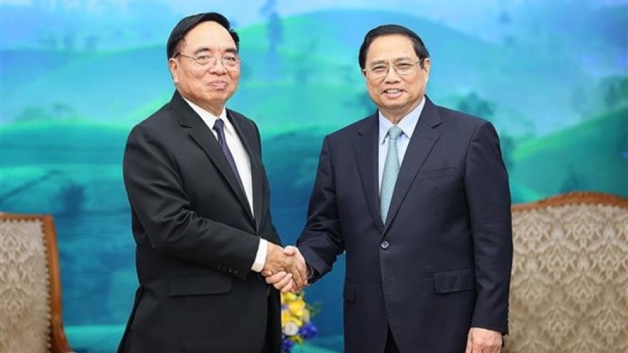 Vietnam gives highest priority to developing ties with Laos: PM