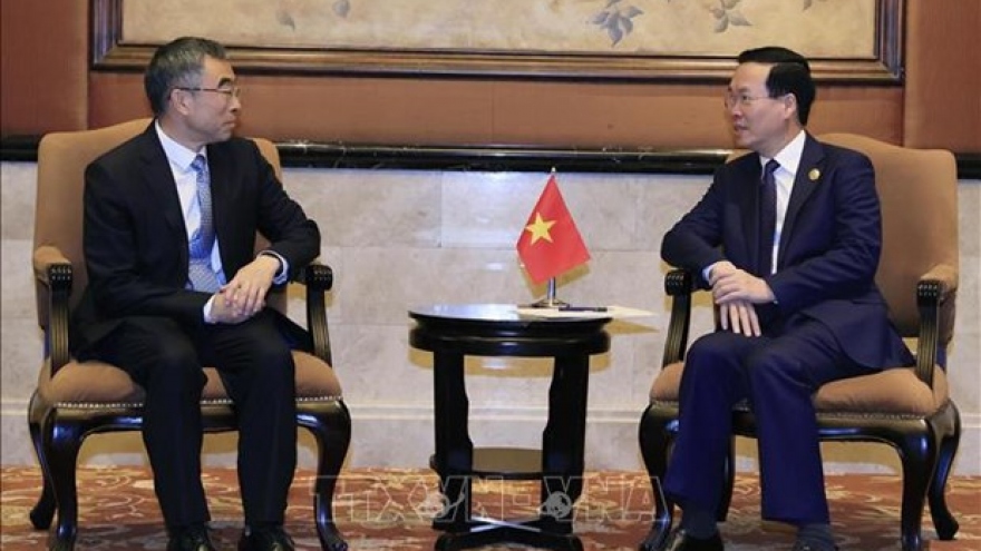 President Thuong hosts Chinese group leaders in Beijing