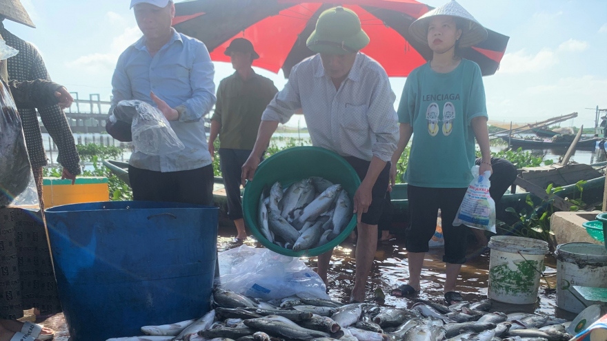 Hàng chục tấn cá chết nổi trắng lồng nuôi, người dân thiệt hại nặng nề