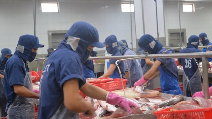 Vietnamese pangasius exports to US sees plunge in price