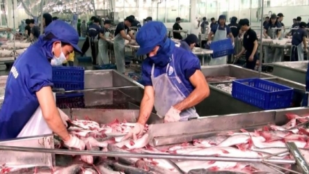 Pangasius exports to CPTPP market to see positive growth this year