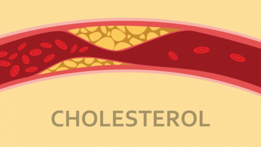 Sự ảnh hưởng của vitamin B đối với tỷ lệ cholesterol HDL