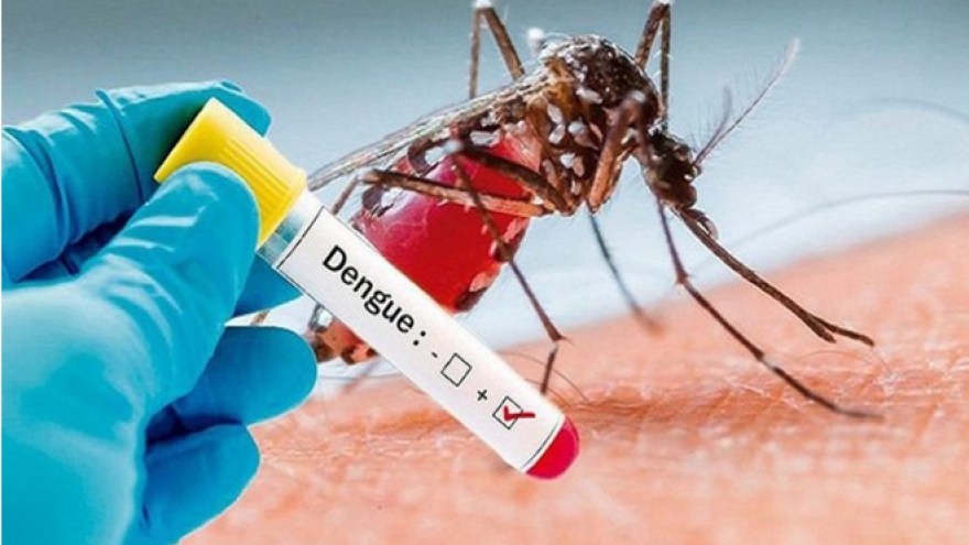 Vietnam reports 26 dengue deaths