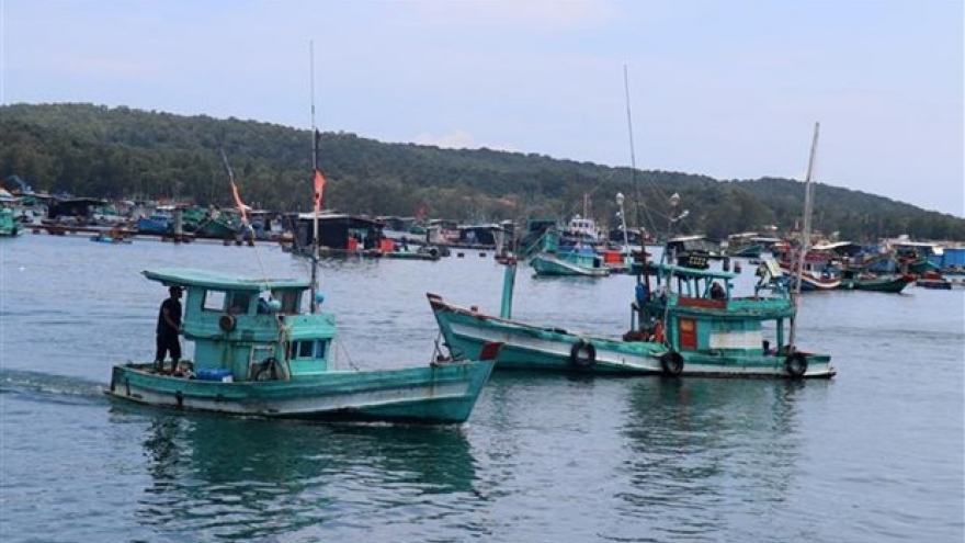 IUU combat: Changes seen in fishermen’s awareness of sustainable fisheries