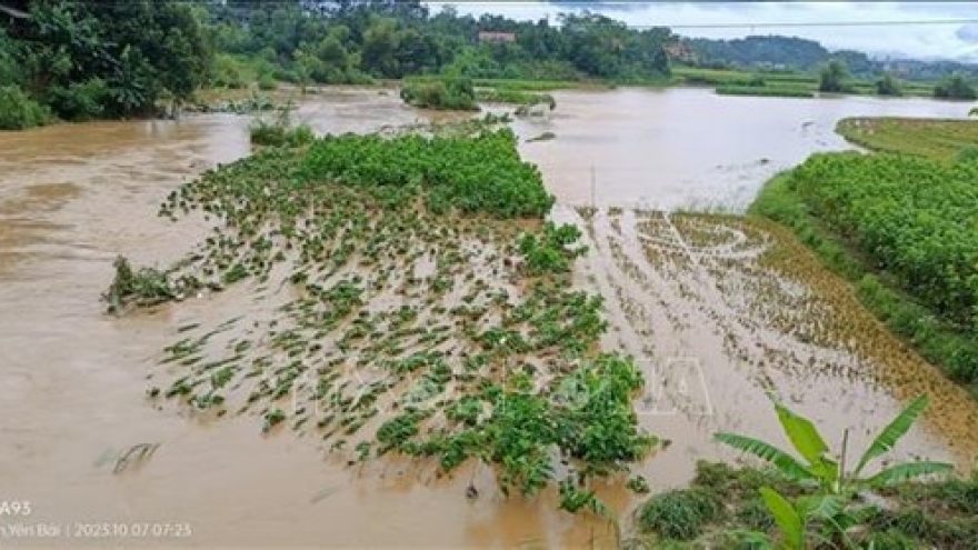 Four died, one missing due to heavy rain, floods in northern provinces