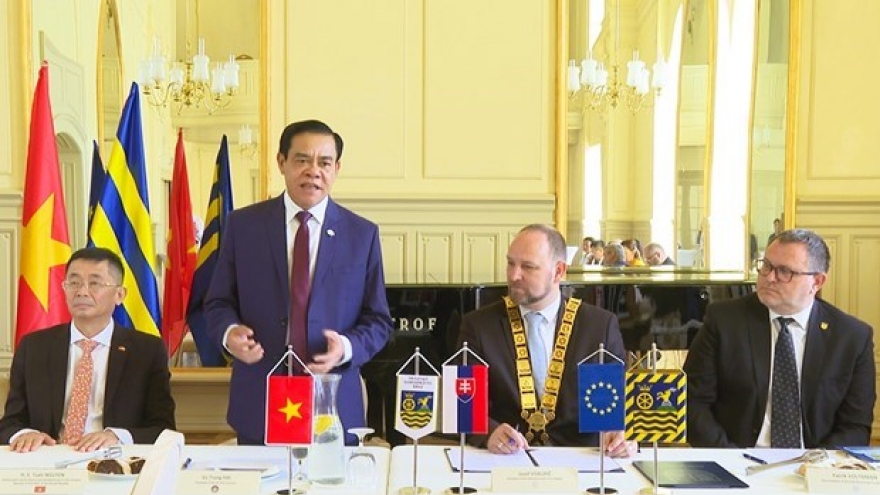 Ha Tinh delegation explores opportunities in Slovakia