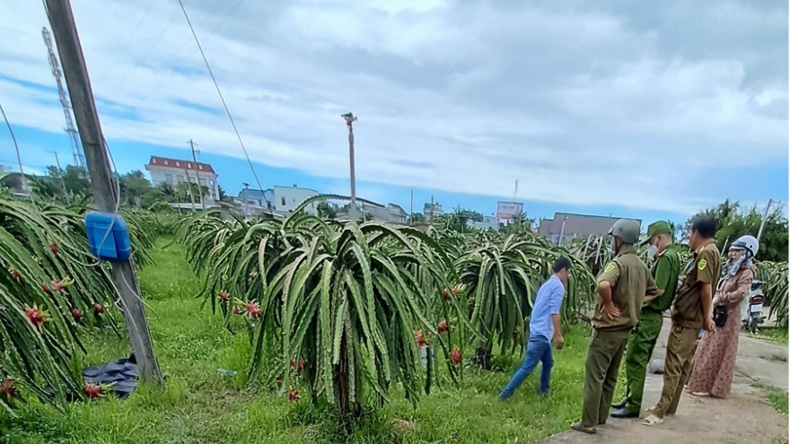 Người đàn ông tử vong trong vườn thanh long