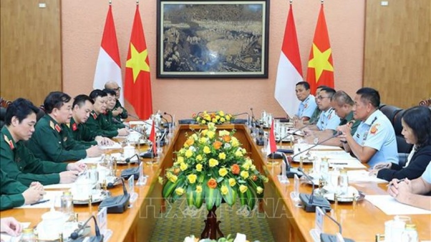 Vietnam, Indonesia hold third defence policy dialogue