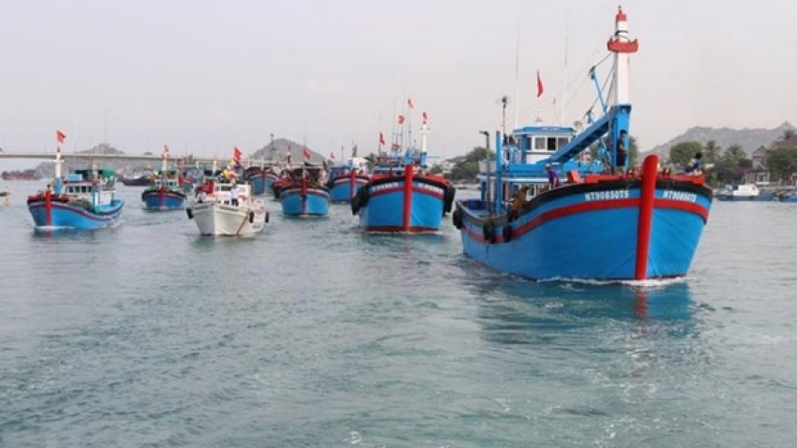 Vietnam seriously implements EC recommendations in IUU fishing combat