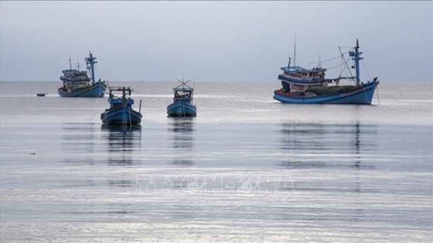 Tien Giang's fishing vessels strictly follow regulations, curbing IUU fishing