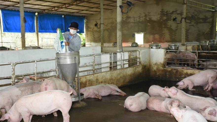 Vietnam-US Comprehensive Strategic Partnership to serve husbandry sector well