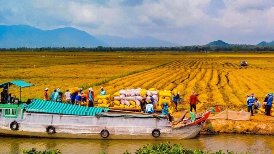 Ample room for investment in Mekong Delta: Official