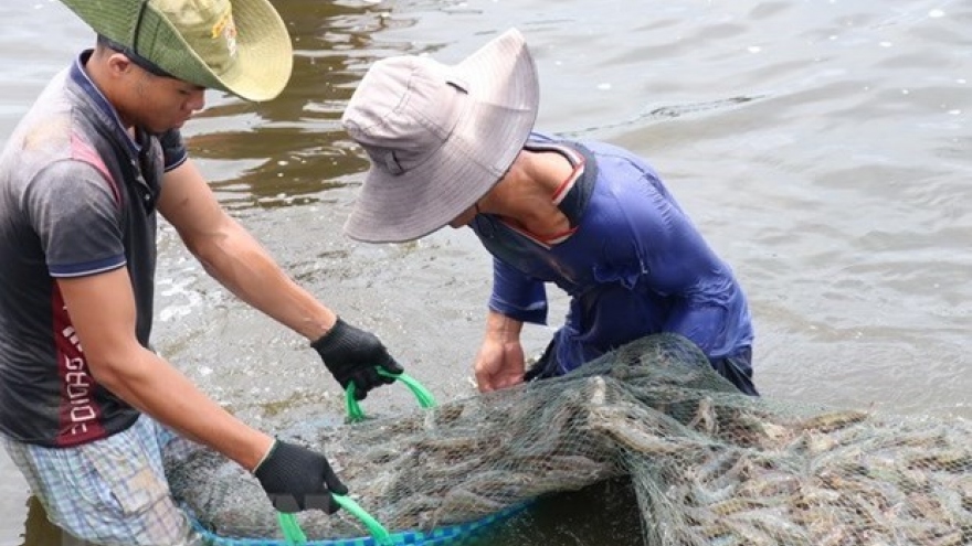 Workshop talks sustainable shrimp industry