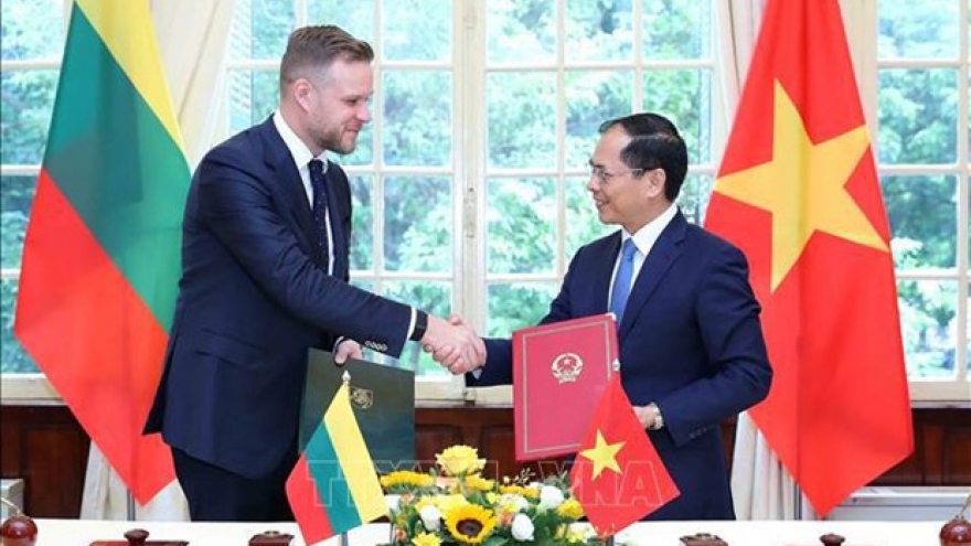 Vietnamese, Lithuanian FMs hold talks