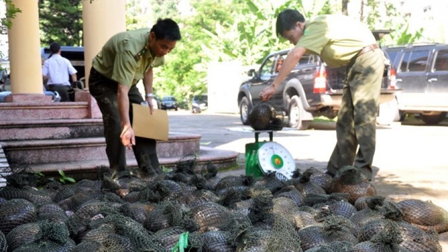 Mua bán động vật hoang dã, con người đối mặt với nhiều dịch bệnh truyền nhiễm