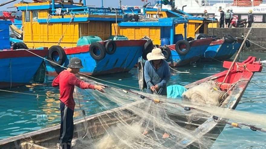 Tien Giang working to handle shortcomings in IUU fishing