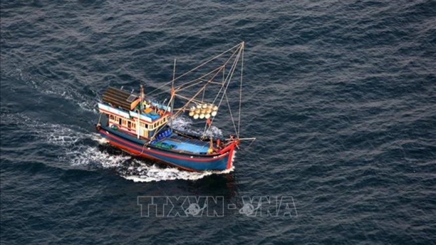 Vietnam launches all-out effort in preparation for anti-IUU fishing inspection