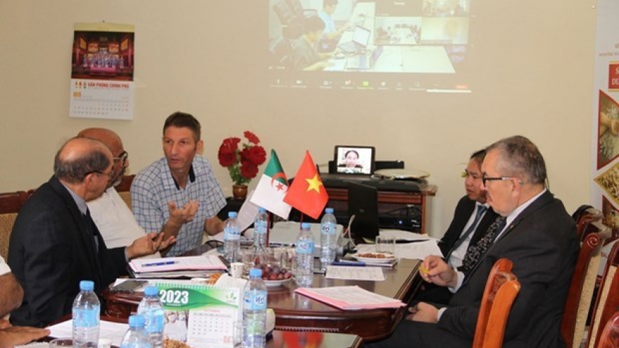 Vietnamese, Algerian companies explore partnership chances