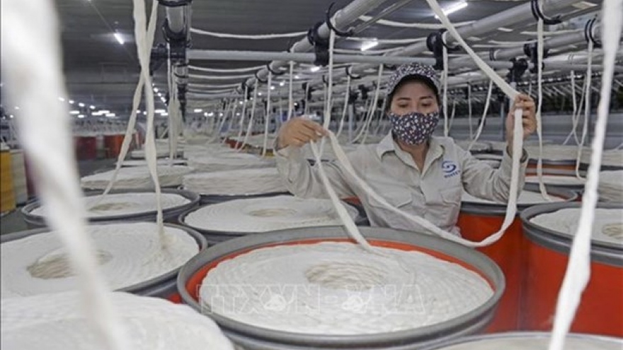 Vietnam's fibre exports foresee positive signals