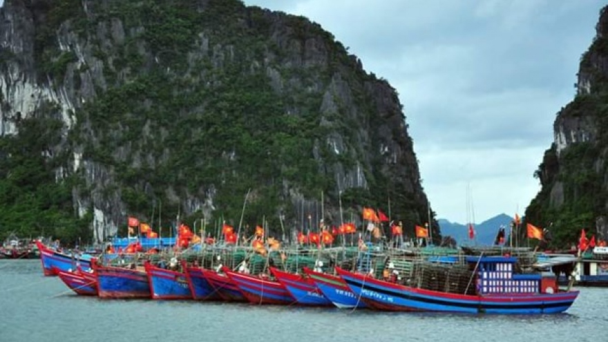 Quang Ninh works hard on fighting IUU fishing