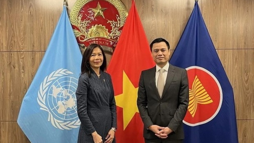 Countries see Vietnam as model in implementing SDGs: UN official