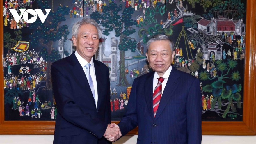 Vietnam and Singapore boost national security cooperation