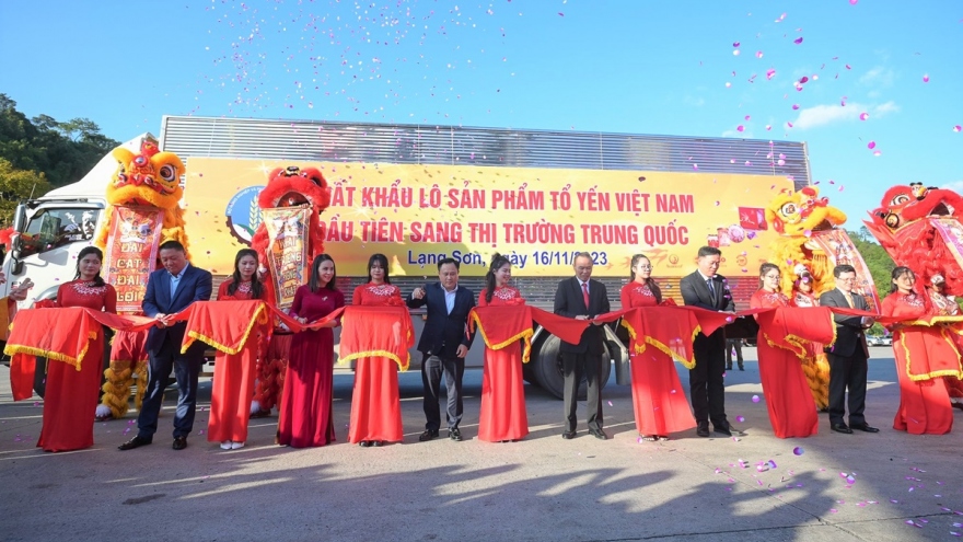 Việt Nam xuất khẩu chính ngạch lô tổ yến đầu tiên sang thị trường Trung Quốc