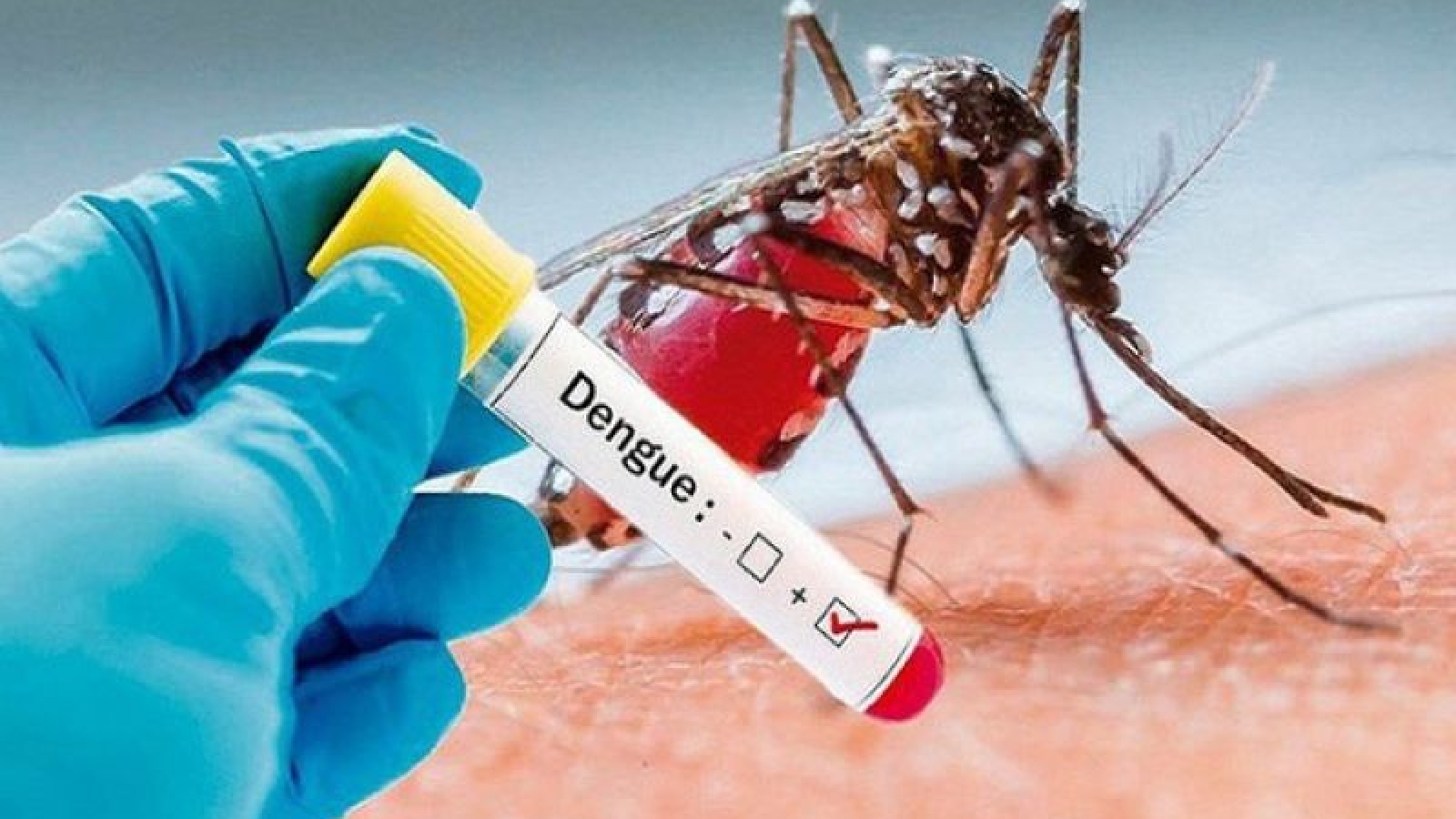 Hanoi records sharp rise in dengue fever cases