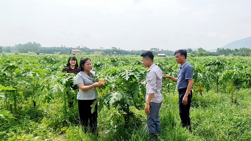 HTX Phú Thọ chuyển đổi số, tránh "chỉ đổi danh mà chẳng đổi màu"