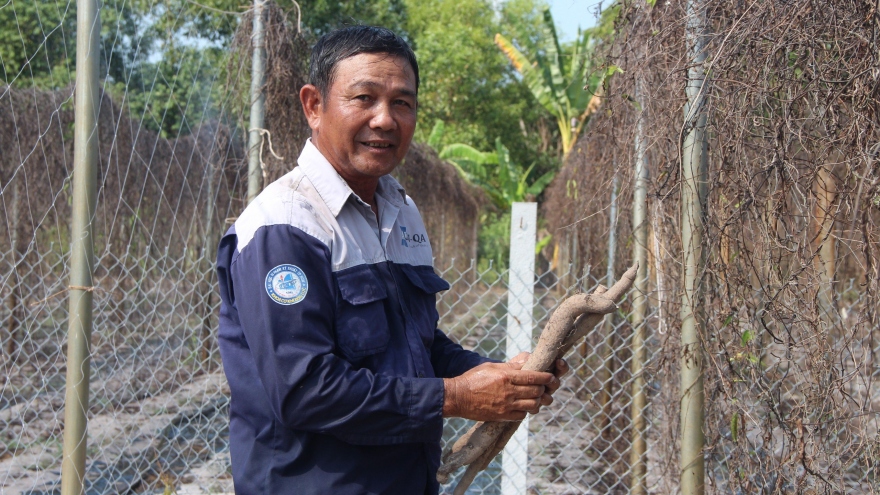 Nông dân Bà Rịa – Vũng Tàu biến cây rừng thành sản phẩm OCOP