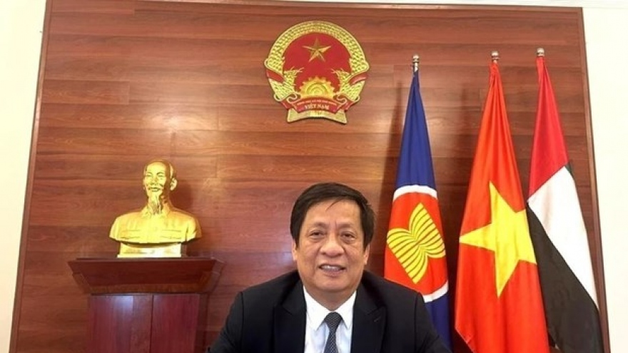 Int’l community hails Vietnam’s commitments to climate change actions: Ambassador