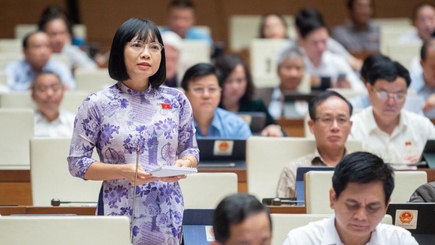 Sân bay Long Thành "vắt qua ba 3 nhiệm kỳ", ĐBQH hy vọng không bị hoãn tiến độ