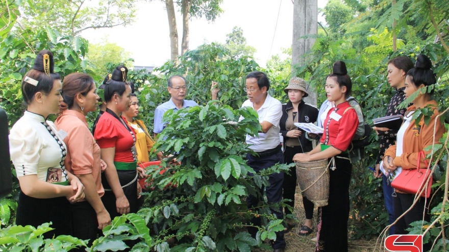 Giải bài toán nâng cao năng lực quản lý, tổ chức sản xuất