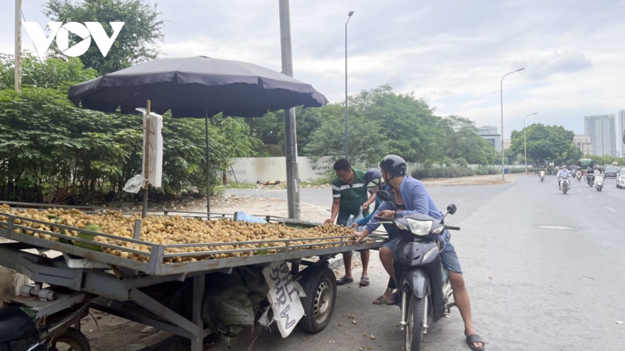 Hà Nội xử phạt hàng loạt ô tô dừng, đỗ sai quy định sau phản ánh của VOV