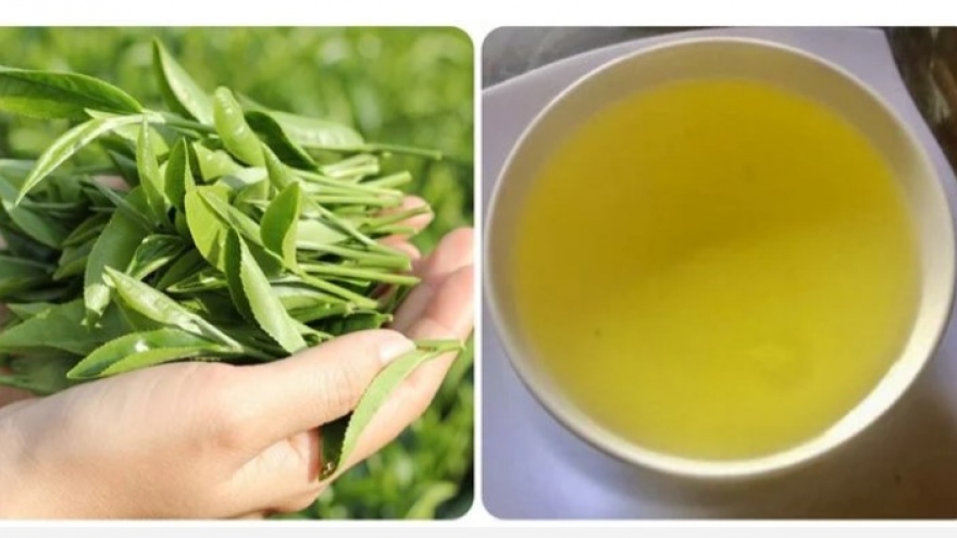 Nên uống chè xanh bao nhiêu mỗi ngày?