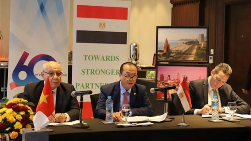 Vietnam, Egypt exchange experience in green finance attraction