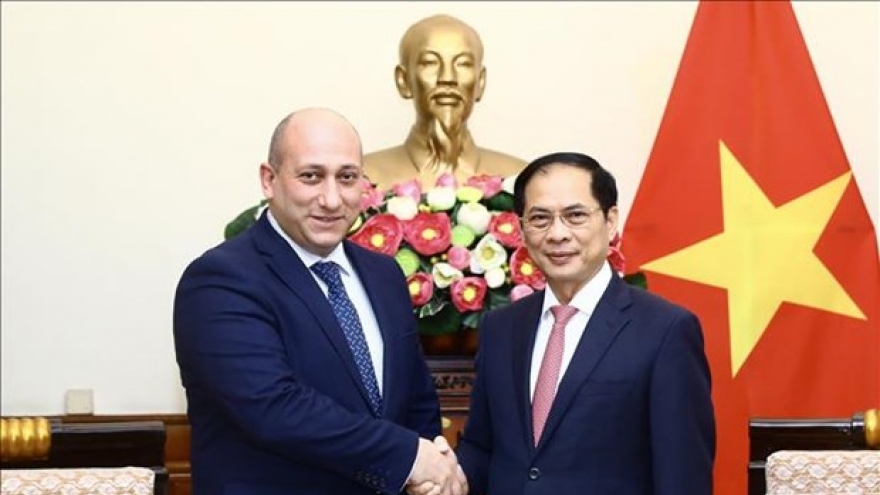 Vietnam treasures traditional friendship, cooperation with Georgia: FM