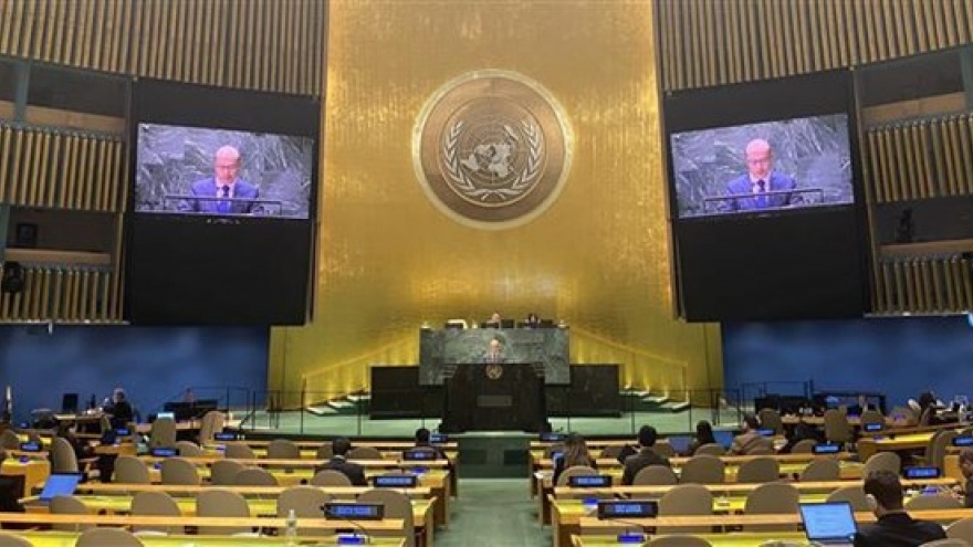 Vietnam supports reform of UN Security Council