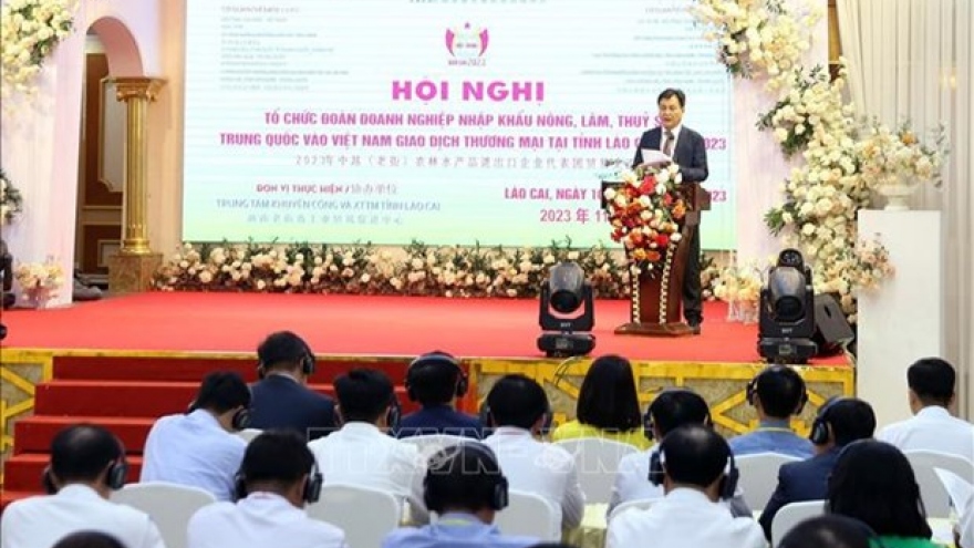 Vietnamese, Chinese provinces beef up cross-border trade