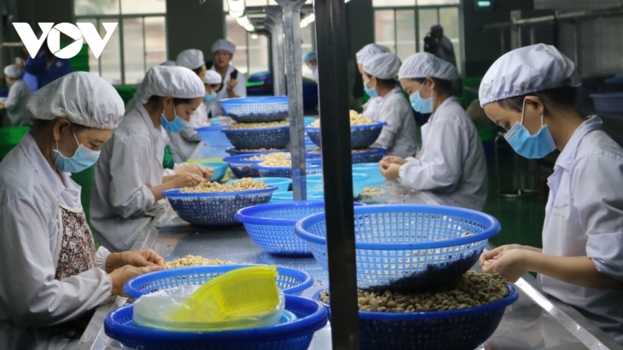 Vietnam and Tunisia ramp up trade cooperation