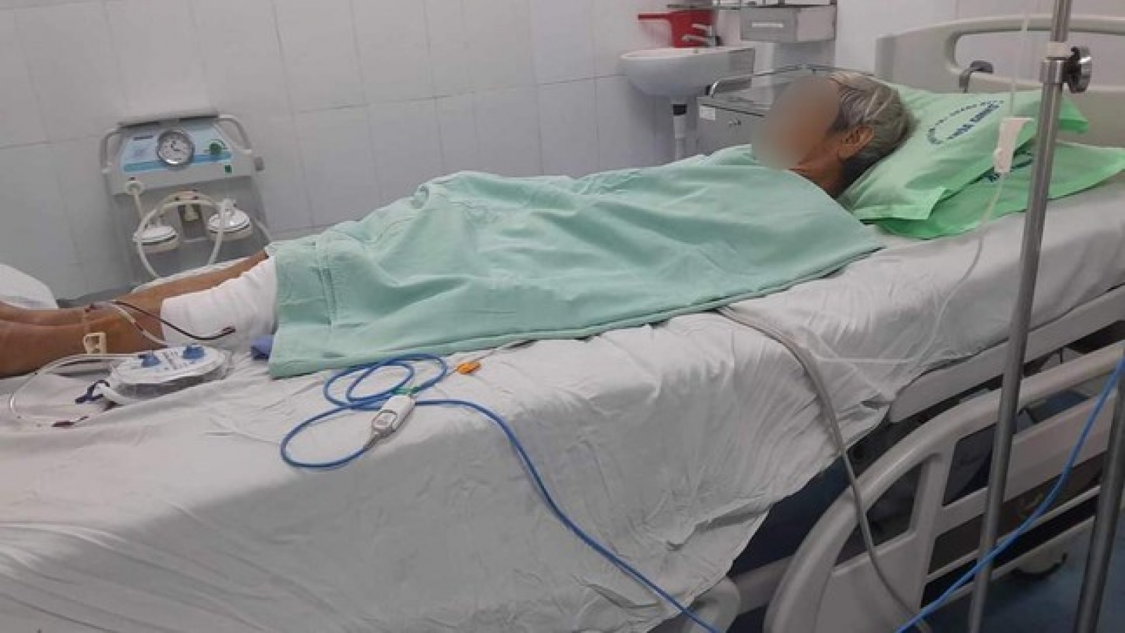 Khỉ tấn công nhiều người, cắn chết 4 con chó ở Quảng Nam