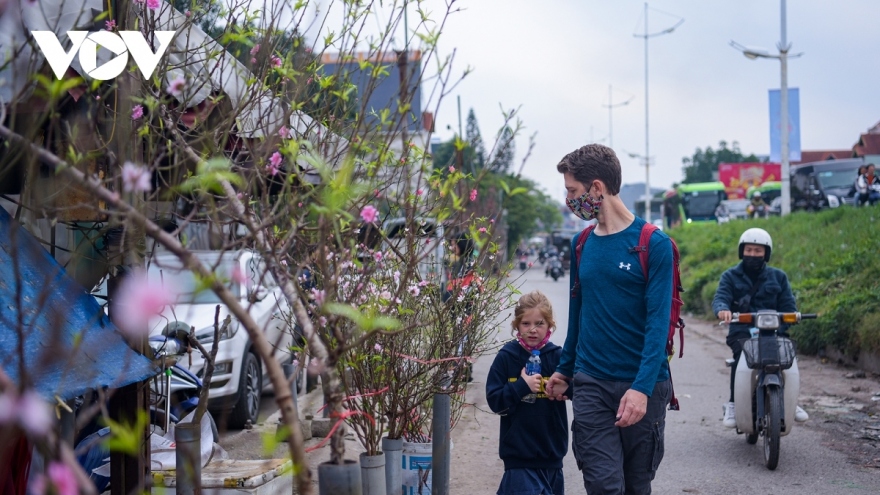 Hanoi, HCM City gearing up for spring flower markets