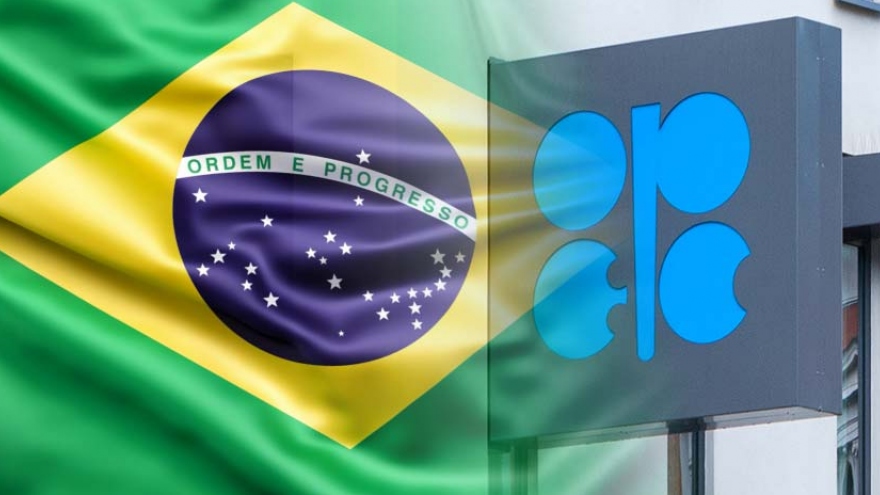 Hội nghị Bộ trưởng OPEC+: Cắt giảm 2,2 triệu thùng dầu/ngày
